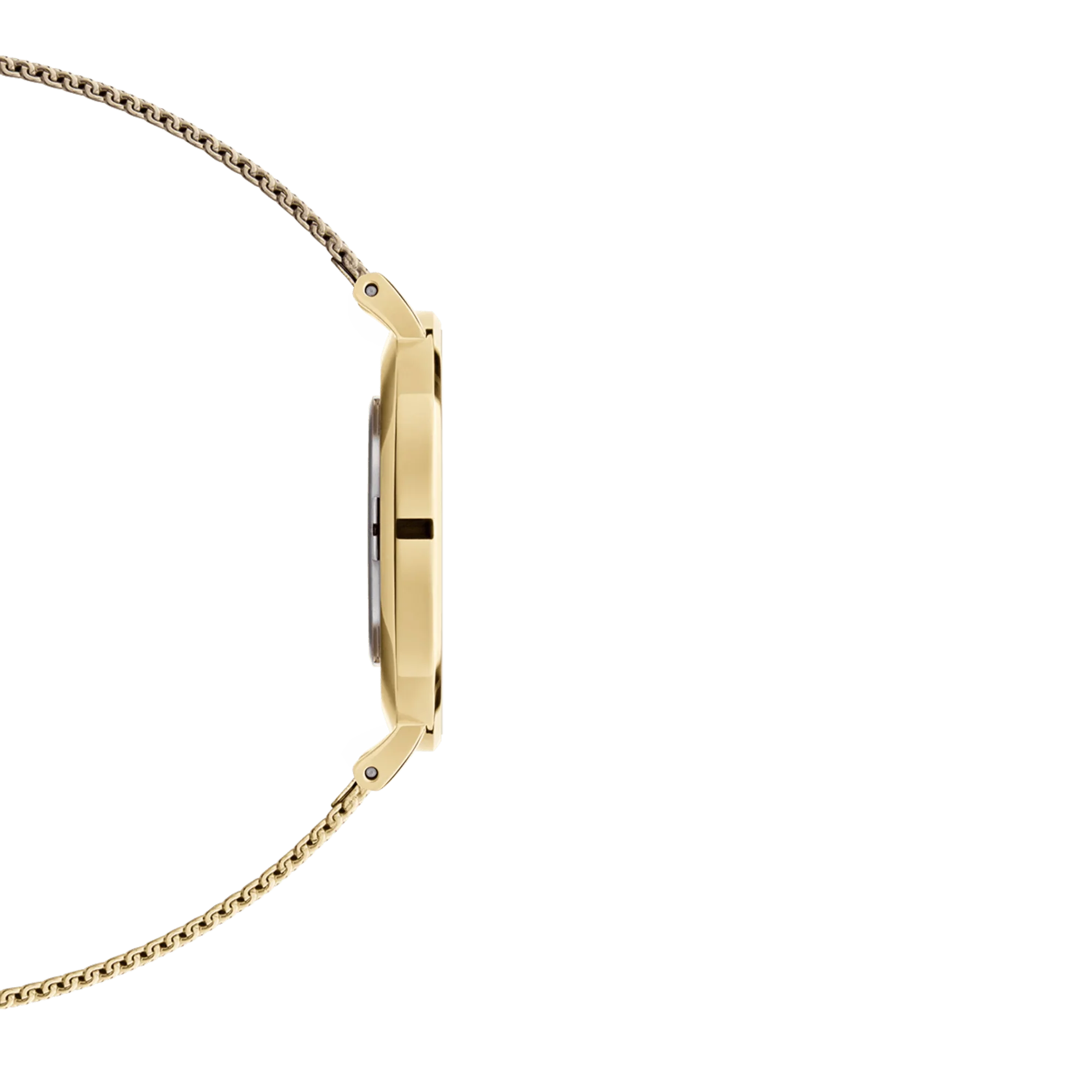 Daniel Wellington Ladies Watch Dw00100346