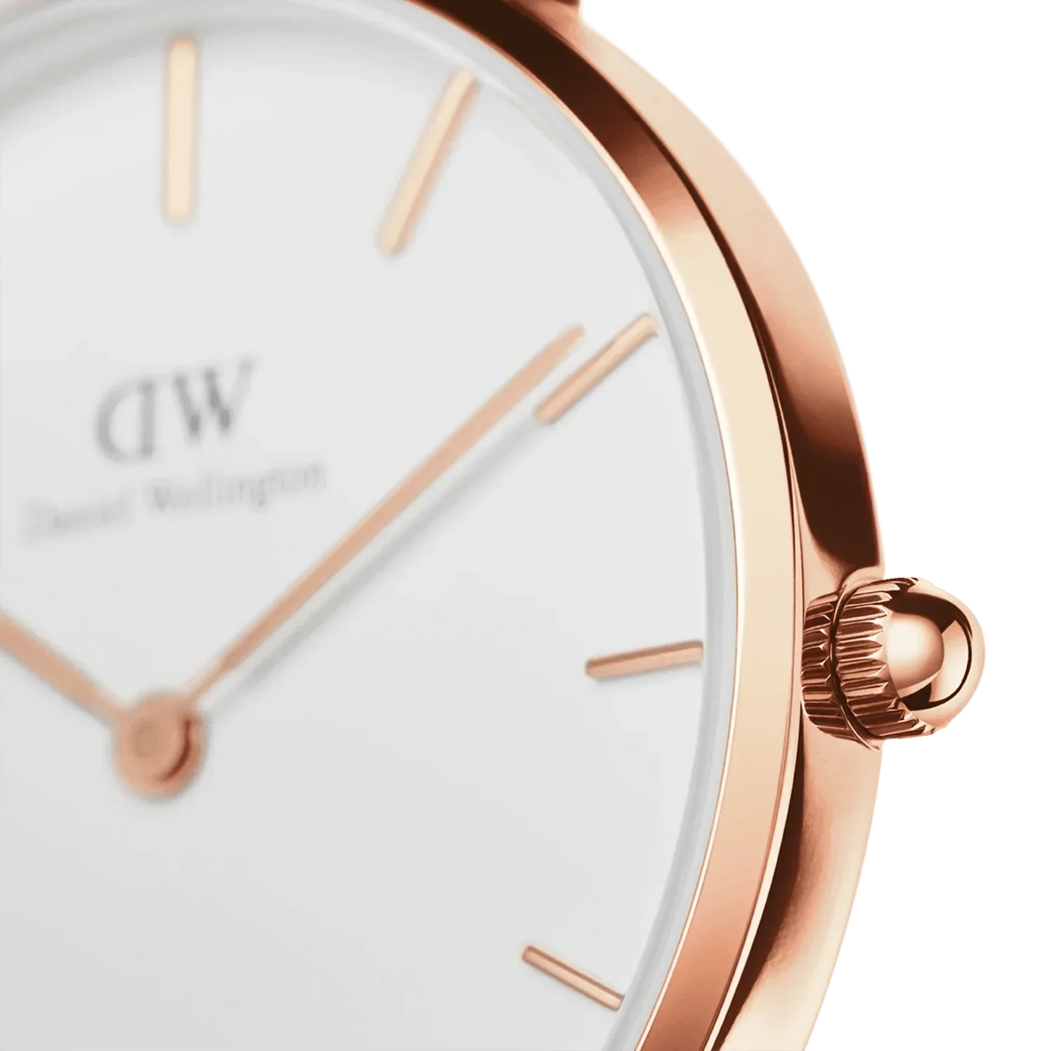 Daniel Wellington Ladies Petitedover White Watch Dw00100313